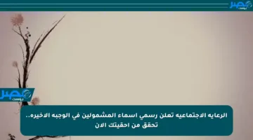 الرعاية الاجتماعية تعلن رسمي أسماء المشمولين في الوجبة الأخيرة.. تحقق من إحقيتك الآن